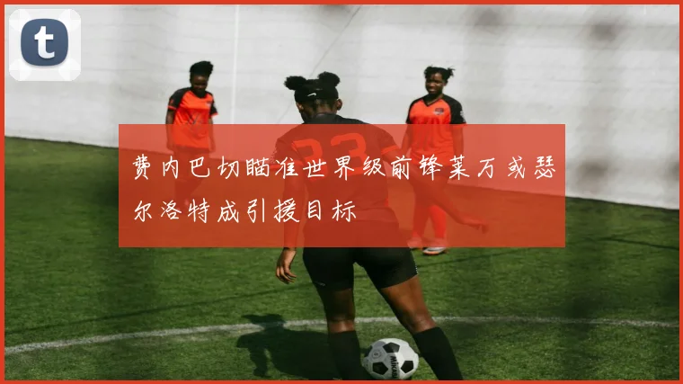 费内巴切瞄准世界级前锋莱万或瑟尔洛特成引援目标