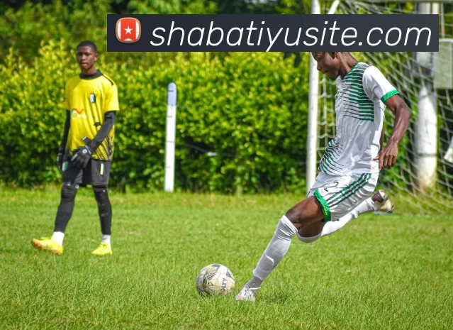 沙巴体育APP 封面图