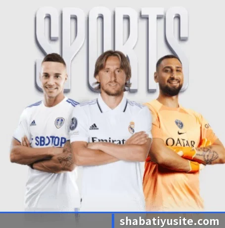 五大服务分区,信息按项目分类 - 多运动项目内容板块（SabaSports）